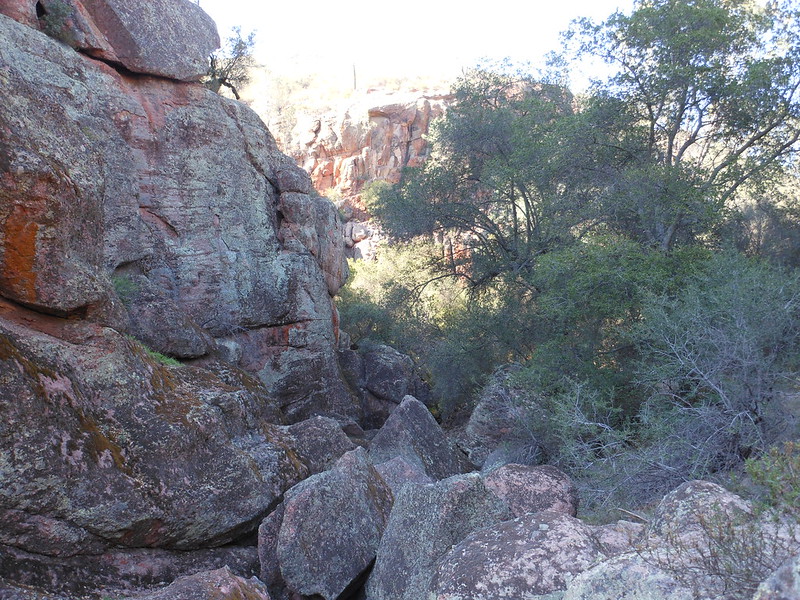 Pinnacles National Park