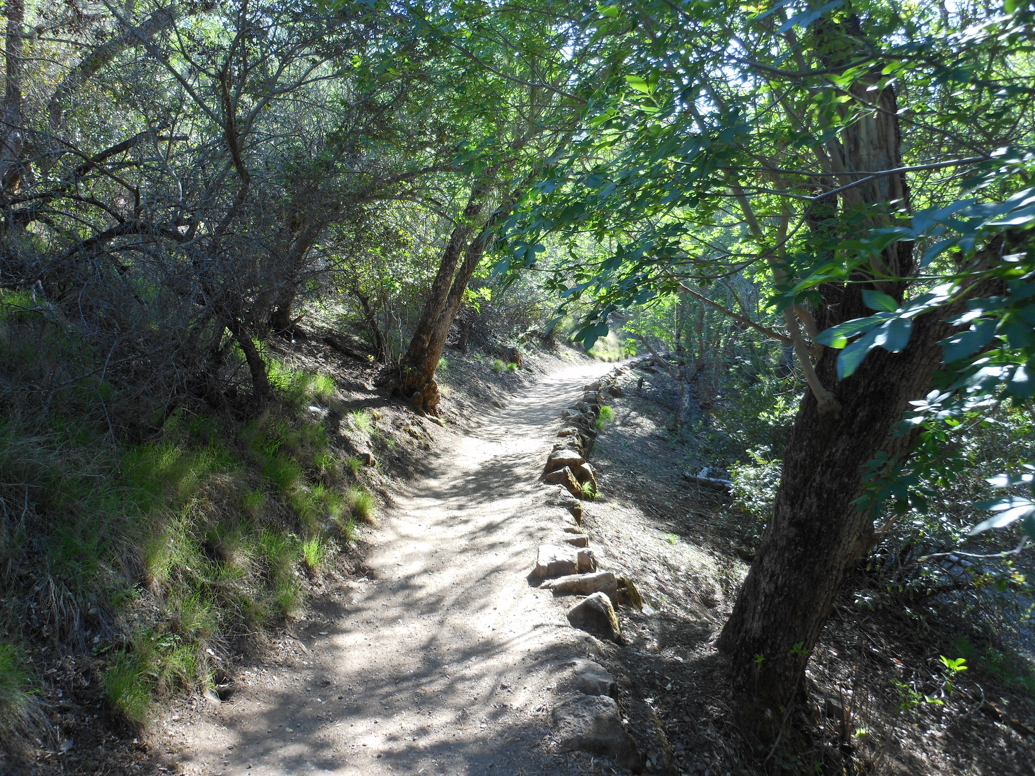 hiking trail Pinnacles National Park