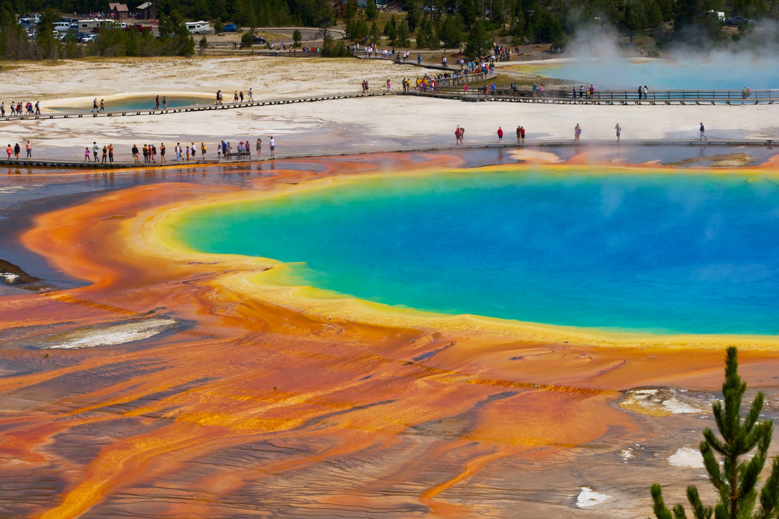 10 Tips for Visiting Yellowstone National Park [Summer 2022]
